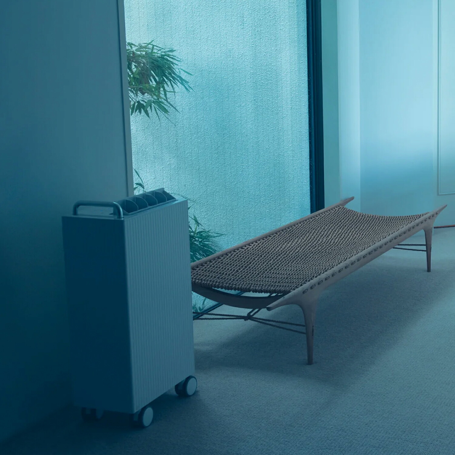 楽天市場】【公式店限定2年保証】cado カドー キャスター付 除湿機